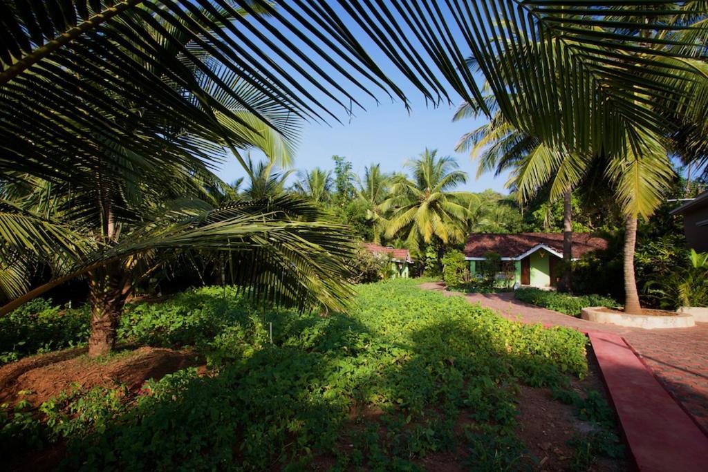 Dunhill Beach Resort Агонда Экстерьер фото
